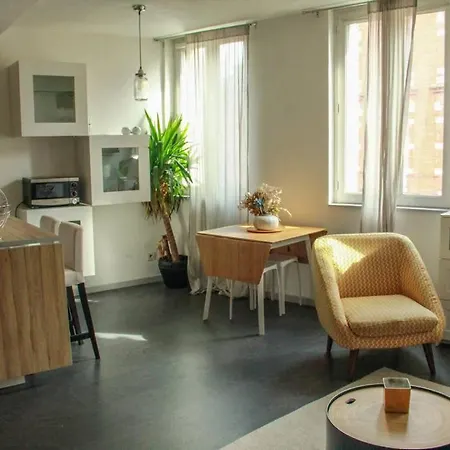 Cosy Flat Near Capitole * Toulouse